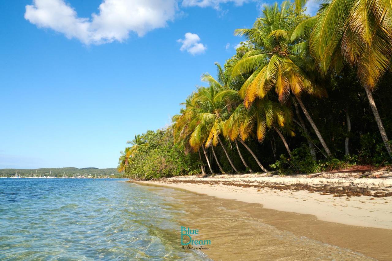 Kaz'Detente, Marie Galante, Plage Kawann Grand-Bourg  Exteriér fotografie
