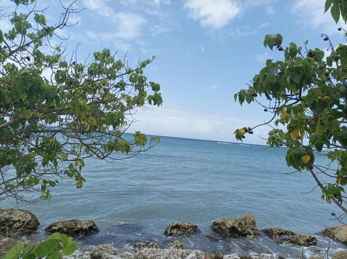 Kaz'Detente, Marie Galante, Plage Kawann Grand-Bourg  Exteriér fotografie