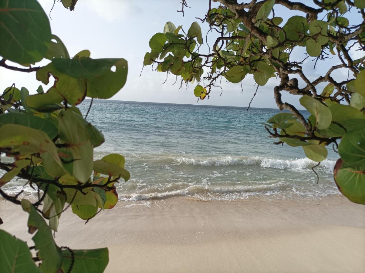 Kaz'Detente, Marie Galante, Plage Kawann Grand-Bourg  Exteriér fotografie